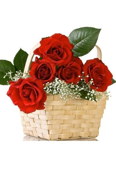 Giỏ hoa hồng mini Màu Đỏ