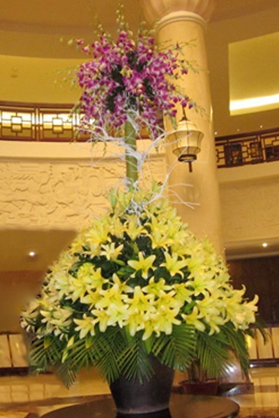 Hoa đại sảnh Hoa lan tím hoa ly Màu Vàng