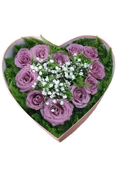 Hoa hộp hồng trái tim Màu Tím