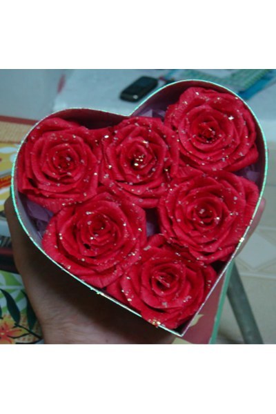 Hoa hộp hồng yêu thương Màu Đỏ