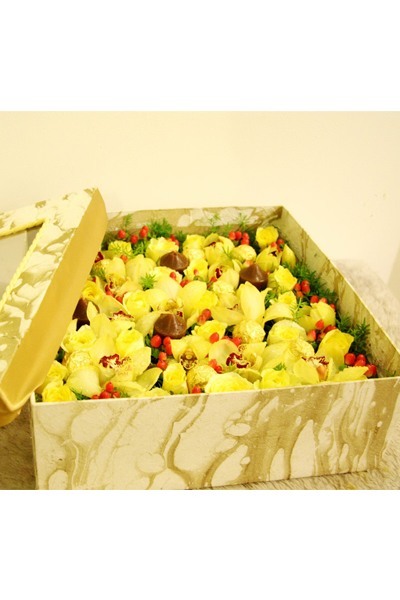 Hoa hộp lan hộp vuông Màu Vàng