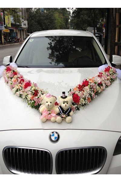 Hoa xe BMW Màu kết hợp