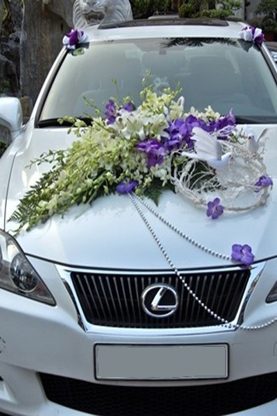 Hoa xe Lexus hoa lan Màu Trắng