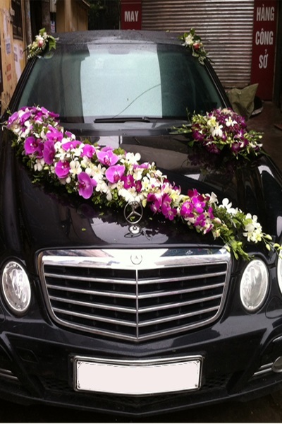 Hoa xe cưới Mercedes hoa lan Màu Tím